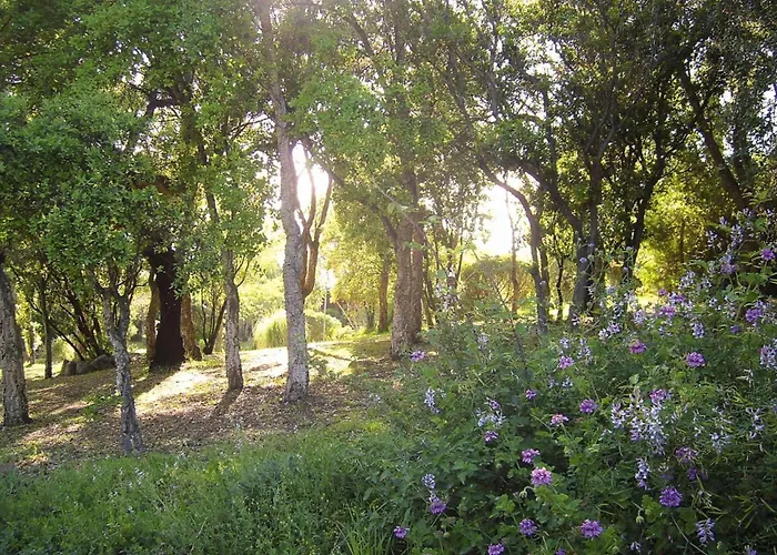 Daire Marina Di Pinarello, 2 For 2 Pers